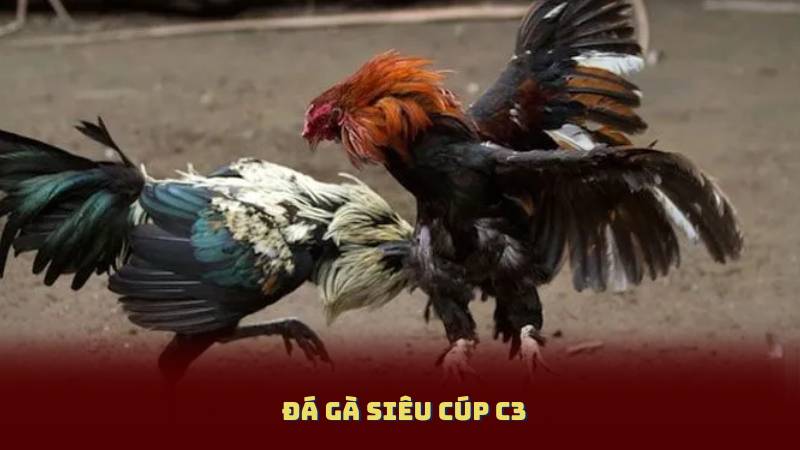 Bắn Cá Siêu Nổ – Săn Cá To, Nhận Thưởng Khủng Mỗi Ngày